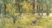 Grassy Glades of the Forest Ivan Shishkin